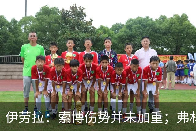 伊劳拉：索博伤势并未加重；弗林蓬国际比赛日之前恐难复出