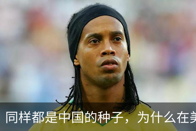 同样都是中国的种子，为什么在美国种出的水稻，亩产要比中国高？