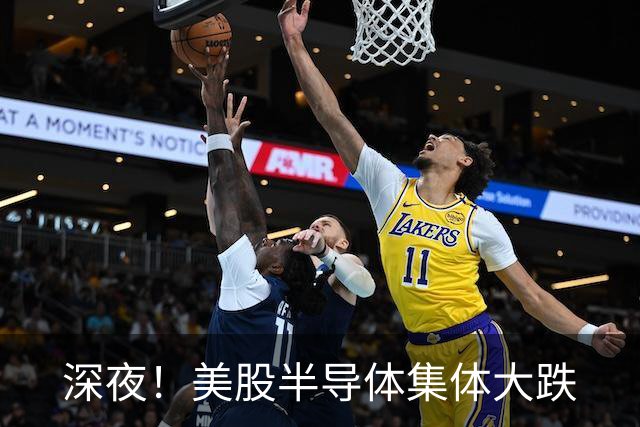 深夜！美股半导体集体大跌